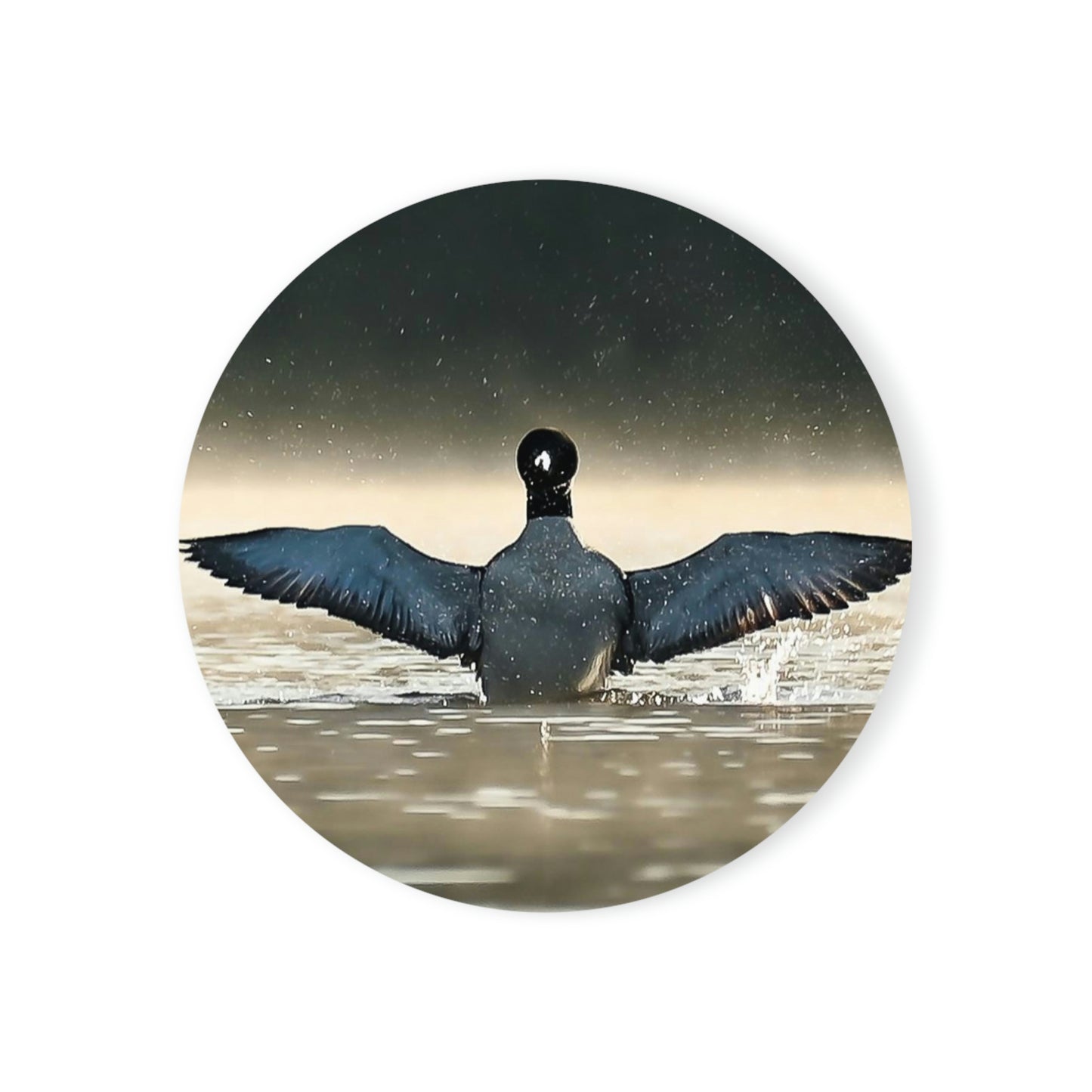 Cork Back Coaster - Loon Wingspread