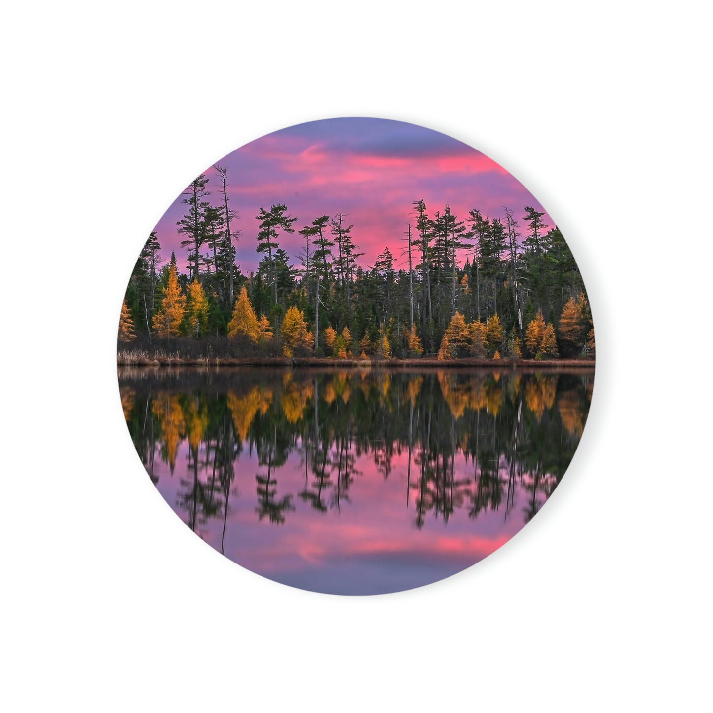 Cork Back Coaster - Tamarack Takeover