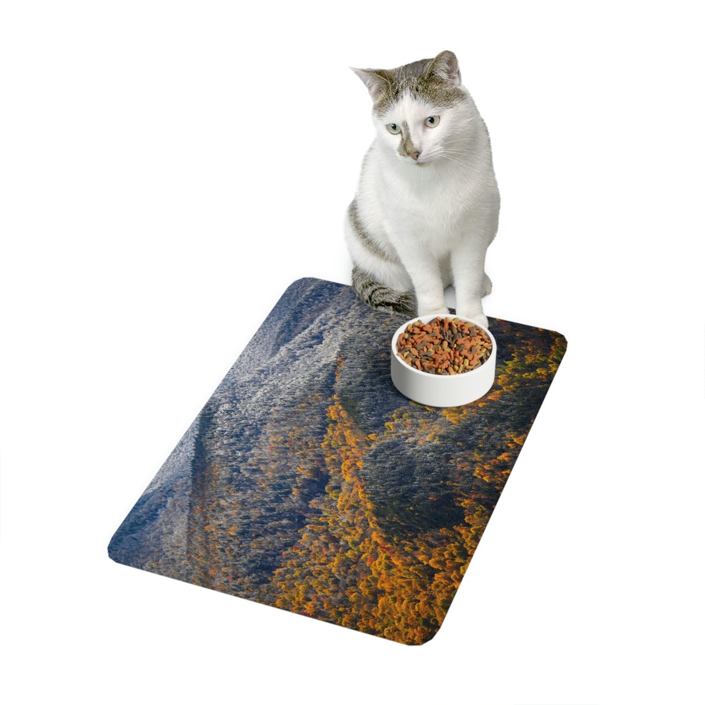 Pet Food Mat - Seasons Collide