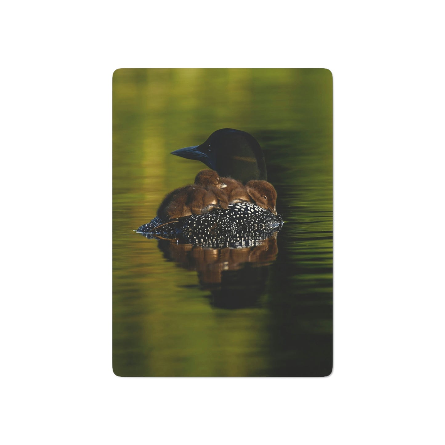 Playing Cards - Mother Loon & Babies