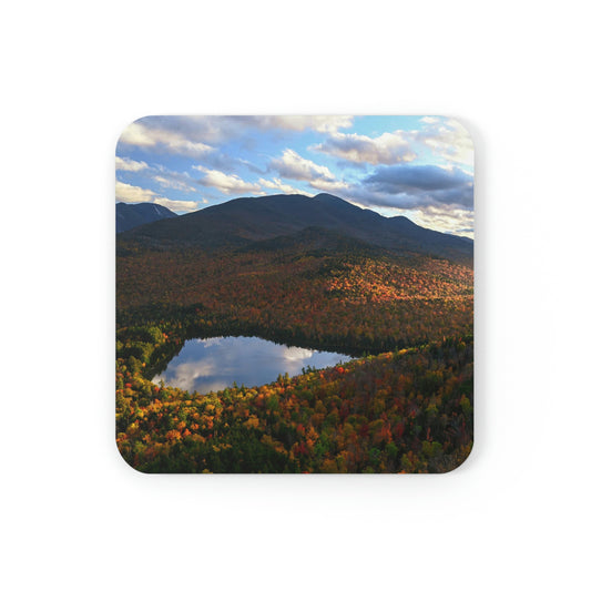 Cork Back Coaster - Heart Lake