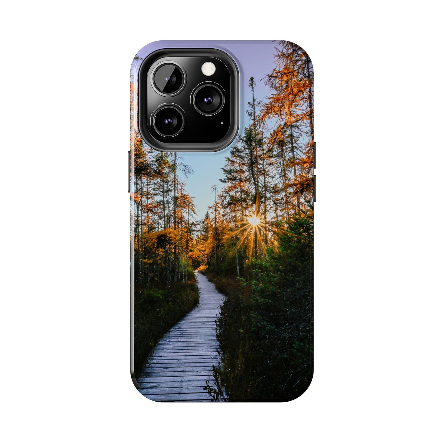 Impact Resistant Phone Case - Golden Tamaracks