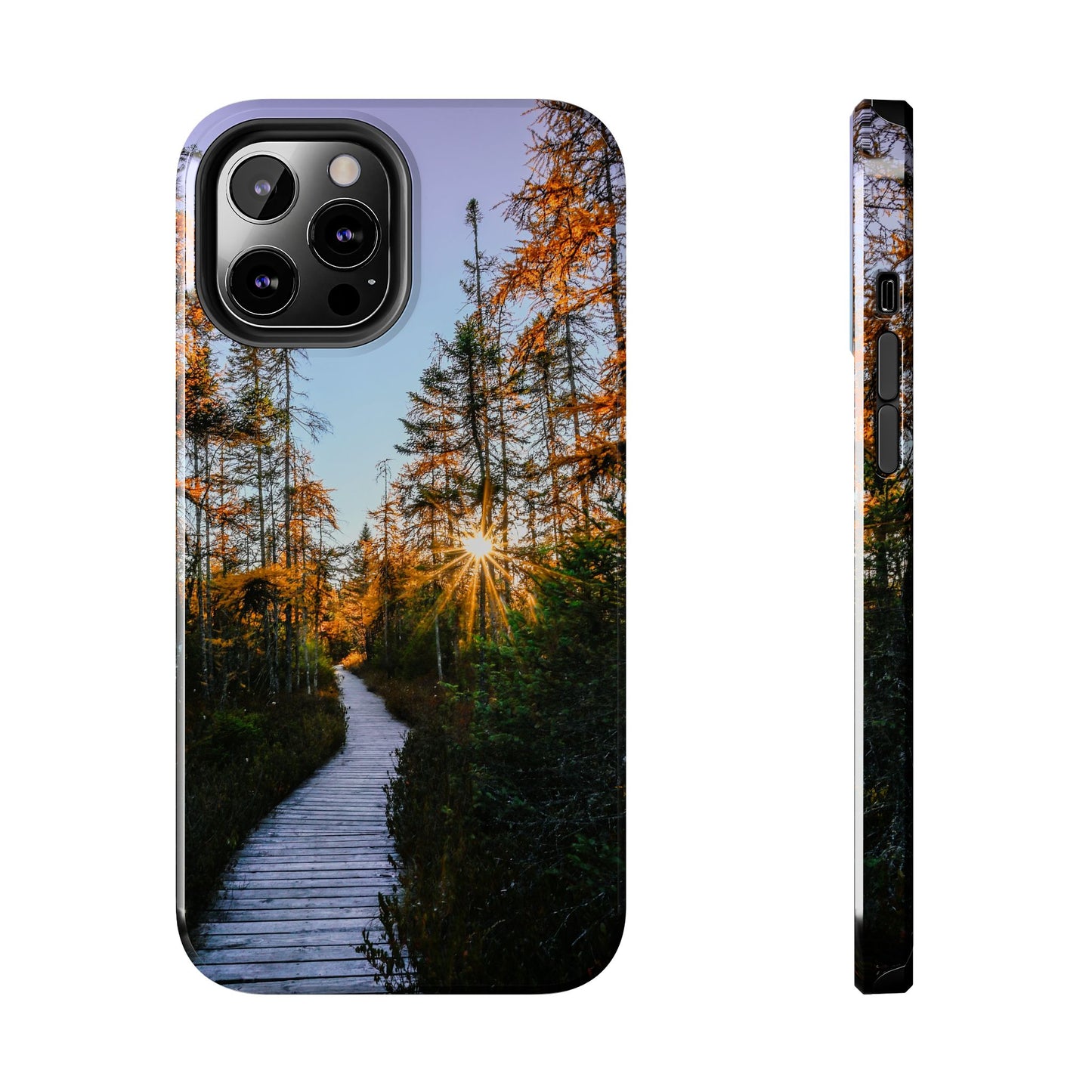 Impact Resistant Phone Case - Golden Tamaracks