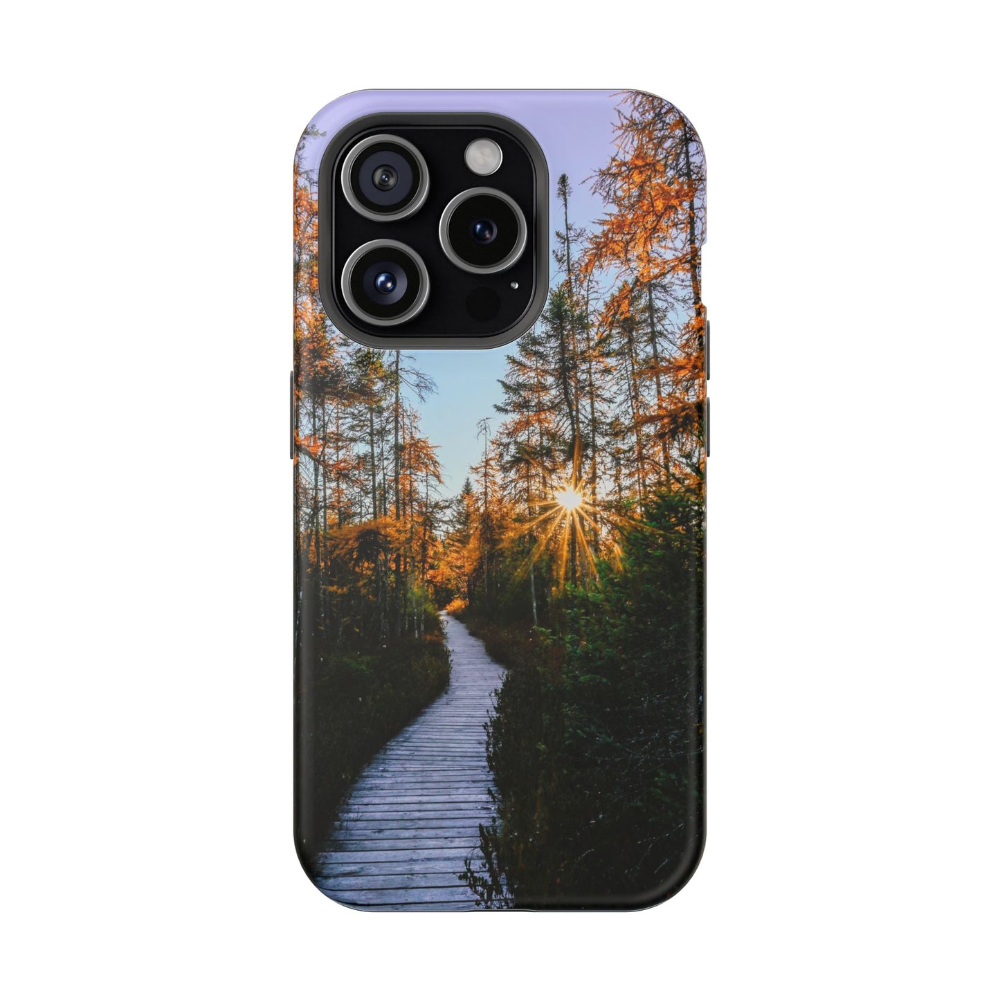 MagSafe Impact Resistant Phone Case - Golden Tamaracks