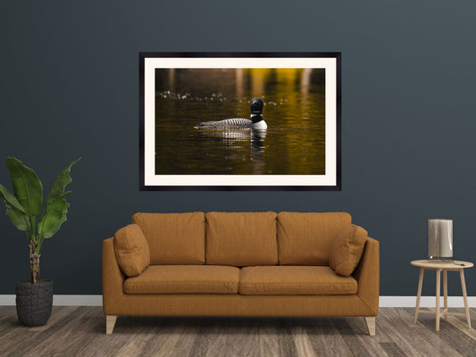Serenity with the Common Loon