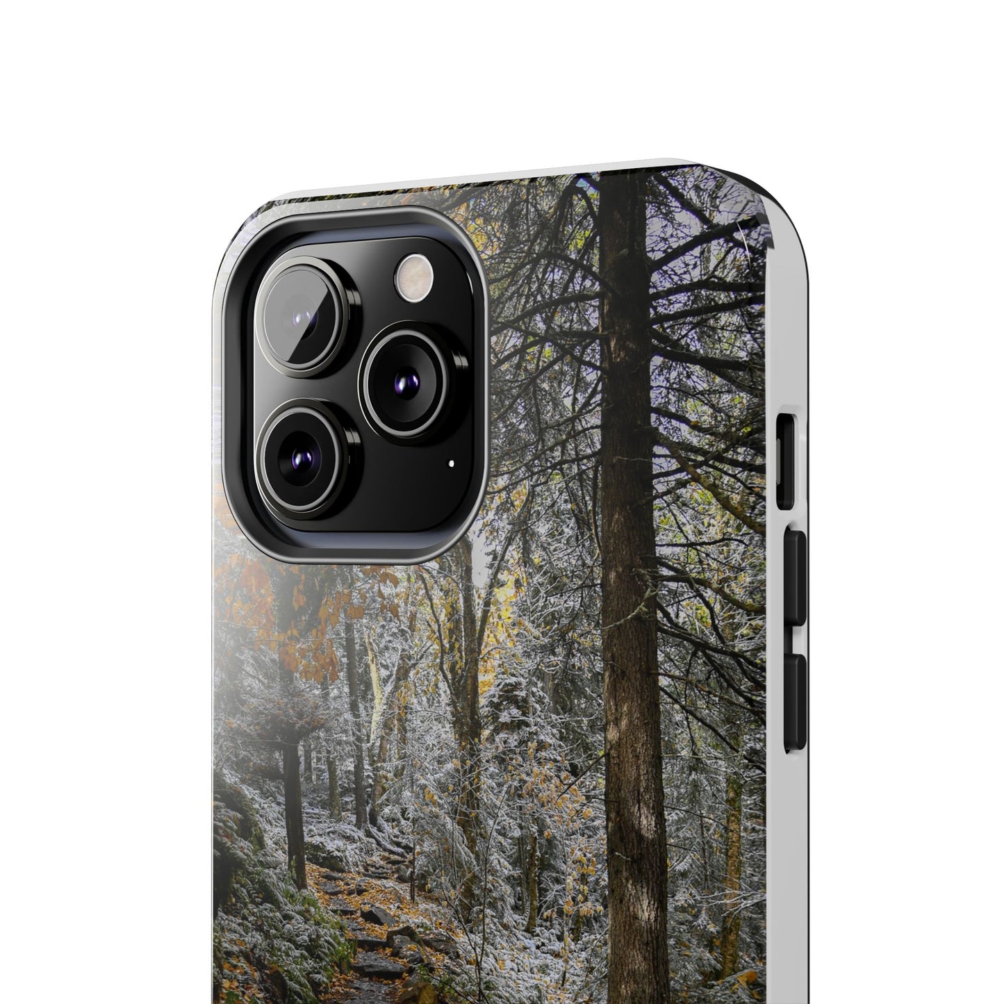 Impact Resistant Phone Case - Seasons Changing