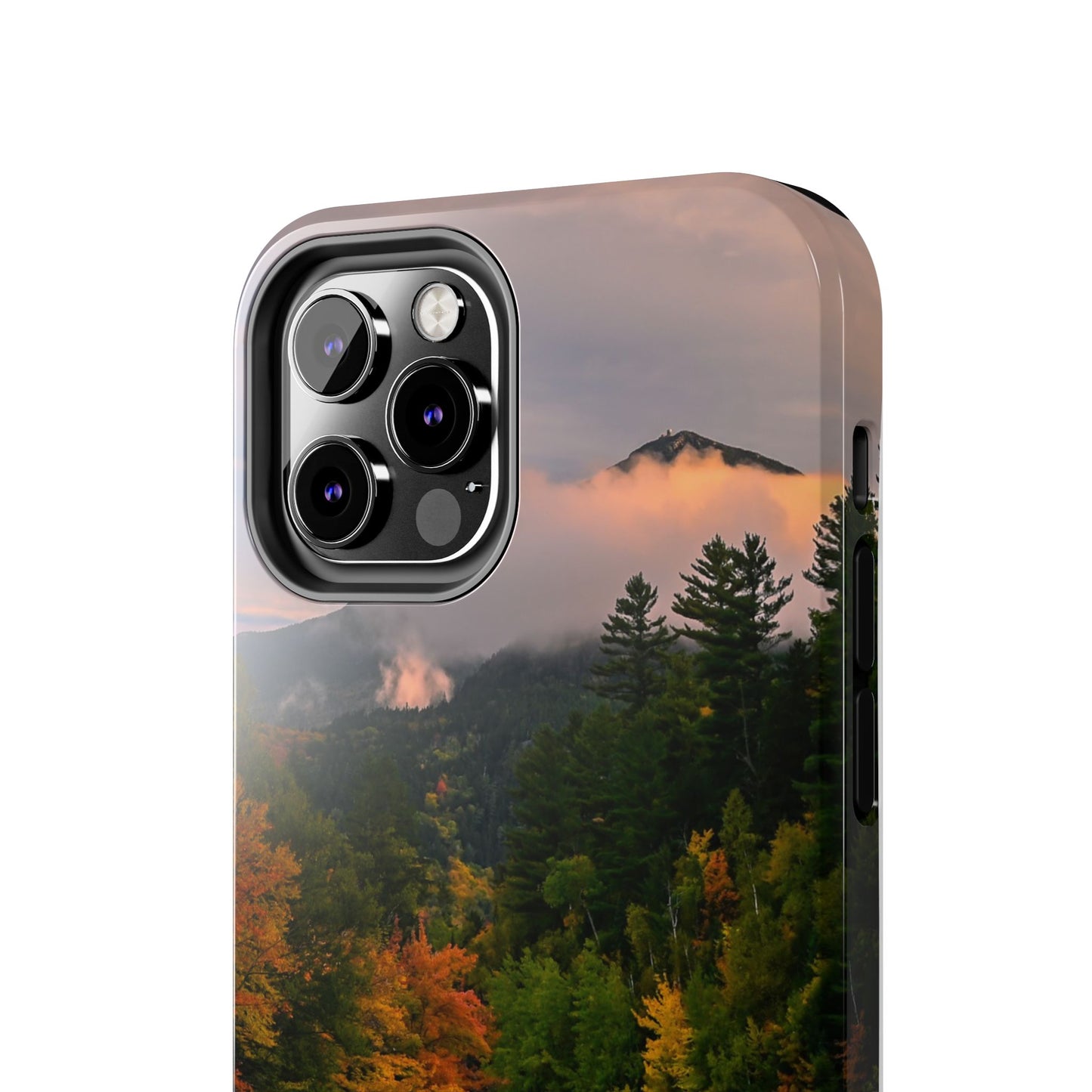 Impact Resistant Phone Case - Ausable Autumn Morning