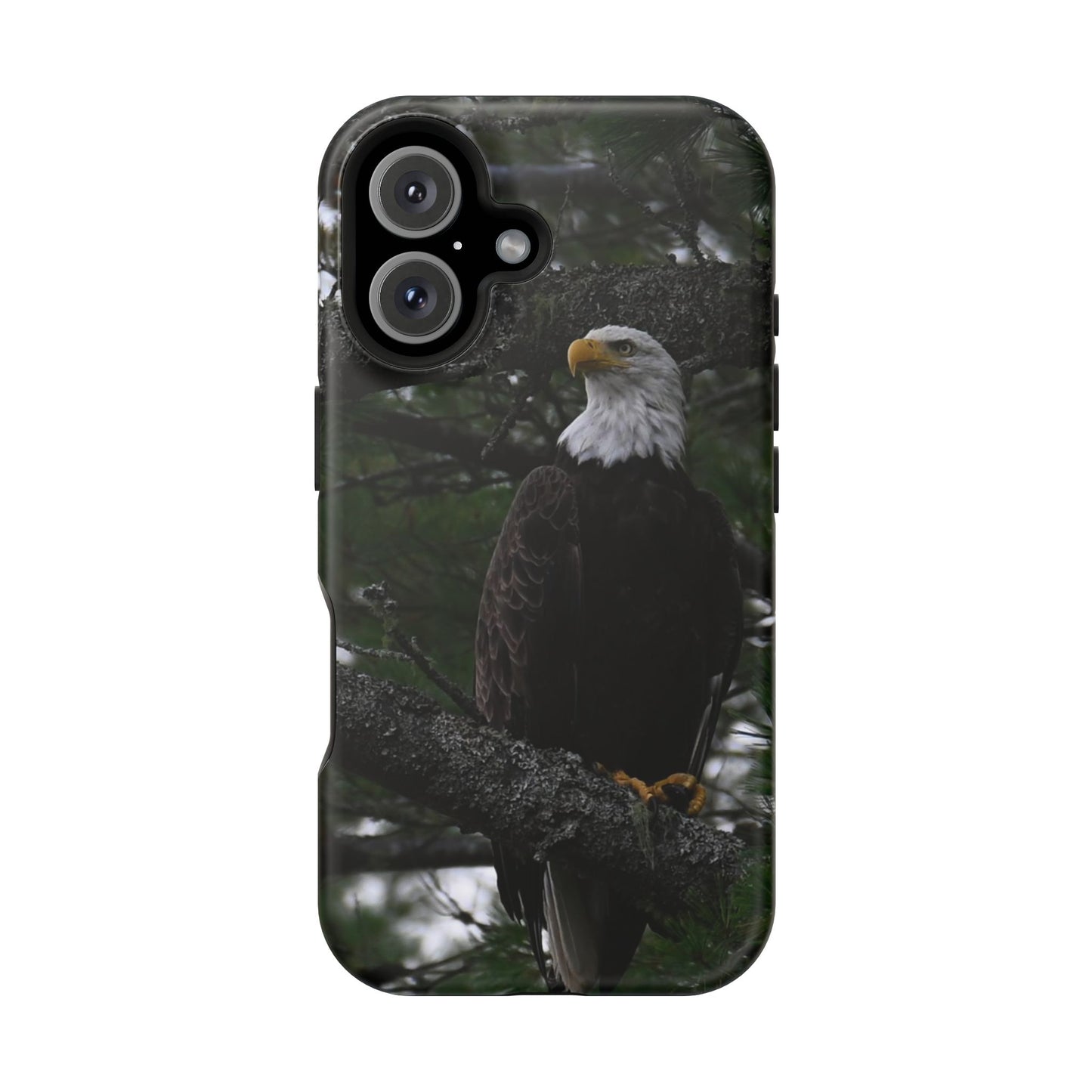 MagSafe Impact Resistant Phone Case - American Eagle