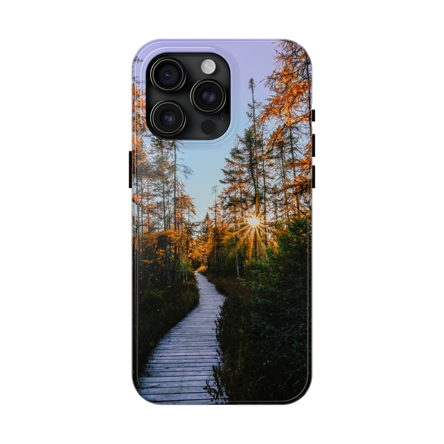 Impact Resistant Phone Case - Golden Tamaracks