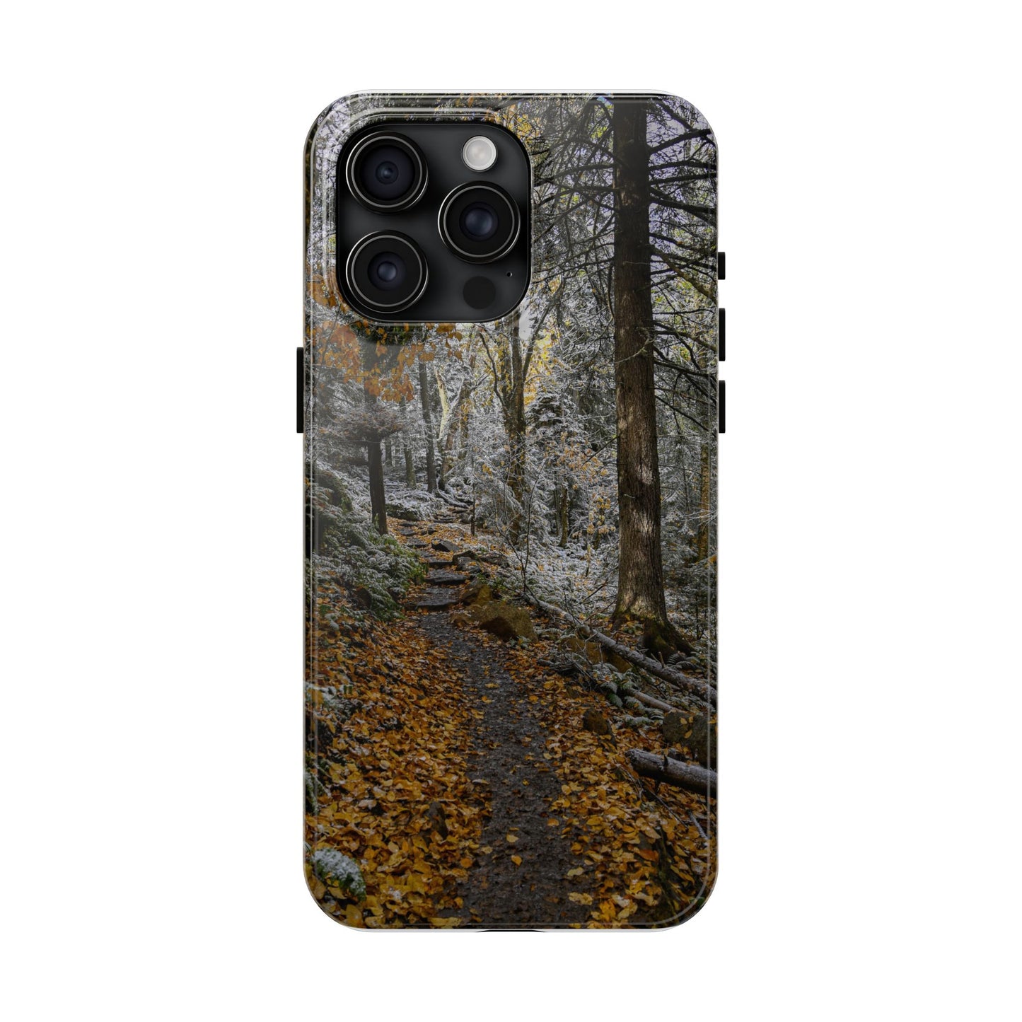 Impact Resistant Phone Case - Seasons Changing