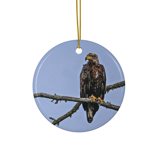 Juvenile Bald Eagle - Ceramic Ornament