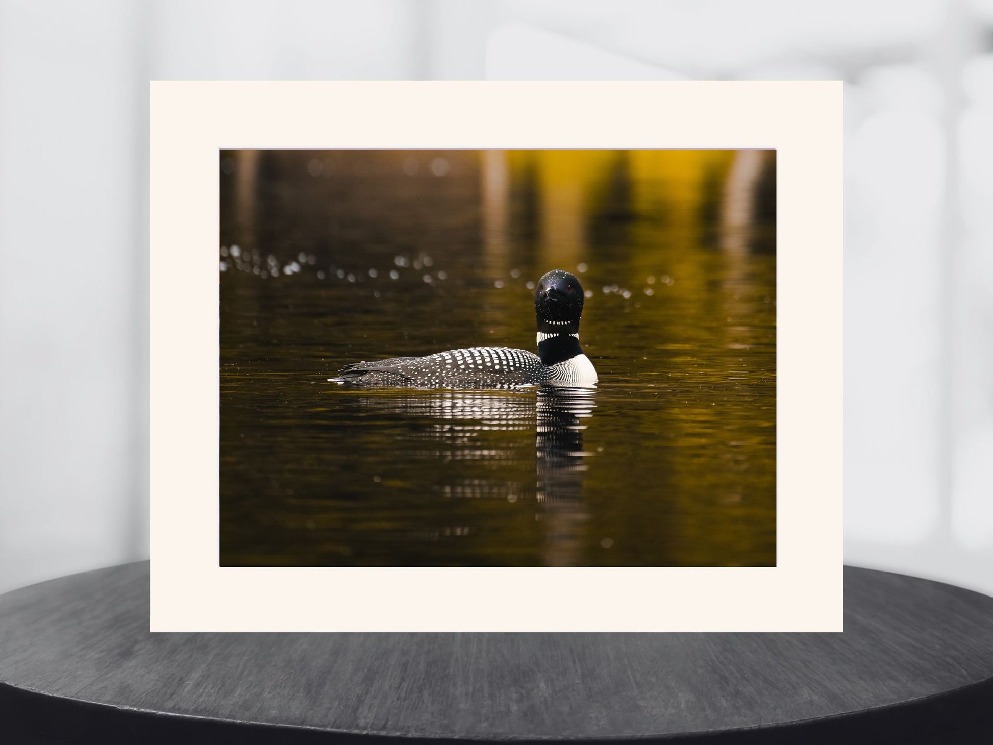 Serenity with the Common Loon