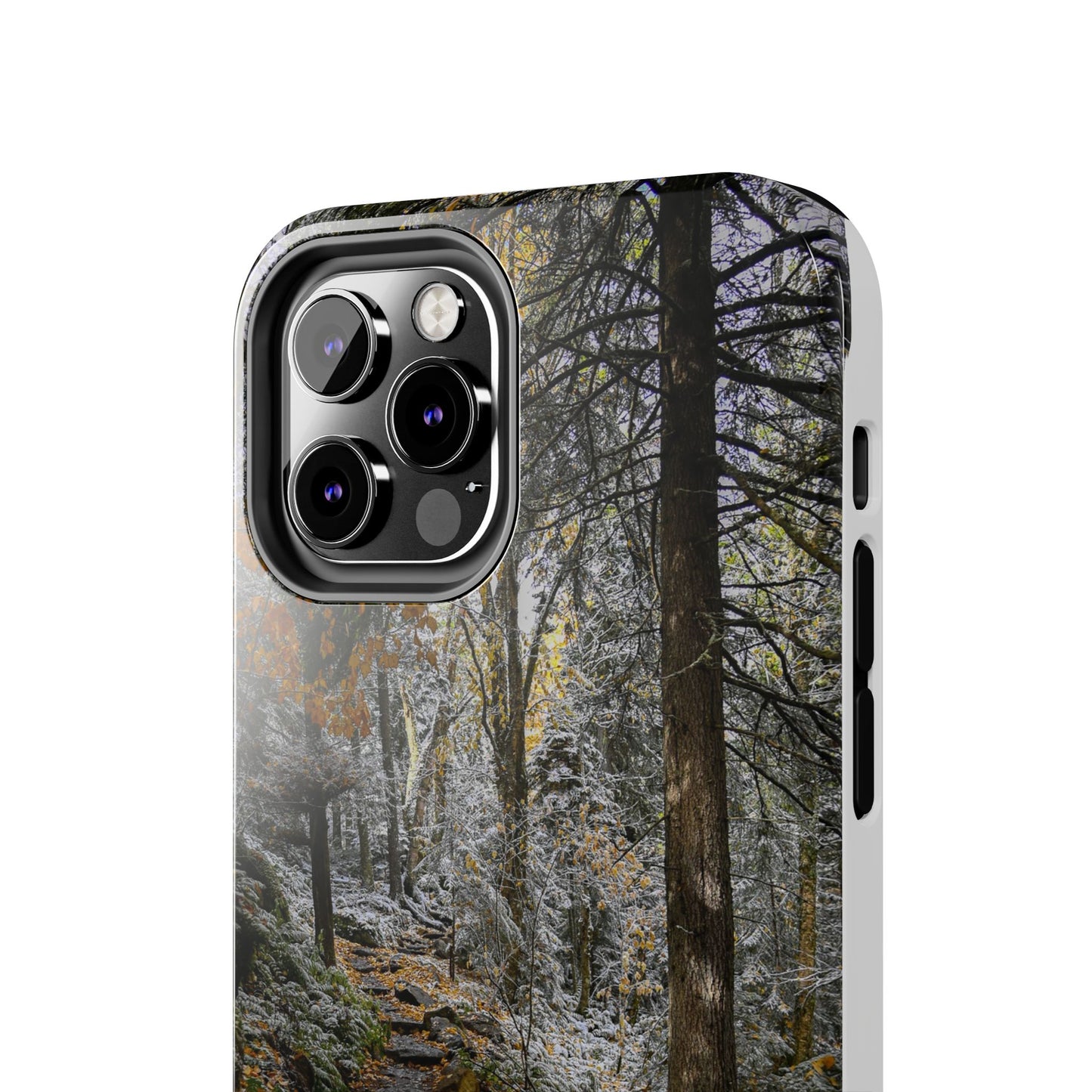 Impact Resistant Phone Case - Seasons Changing