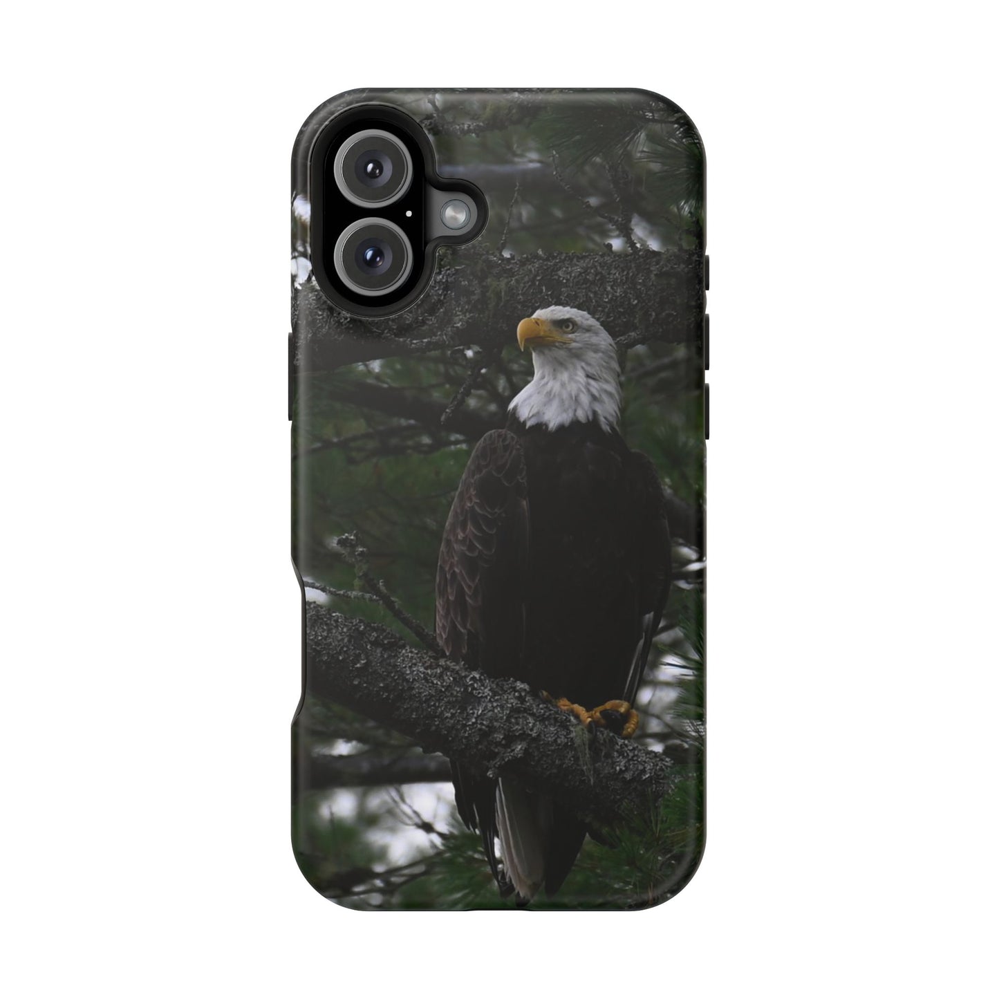 MagSafe Impact Resistant Phone Case - American Eagle