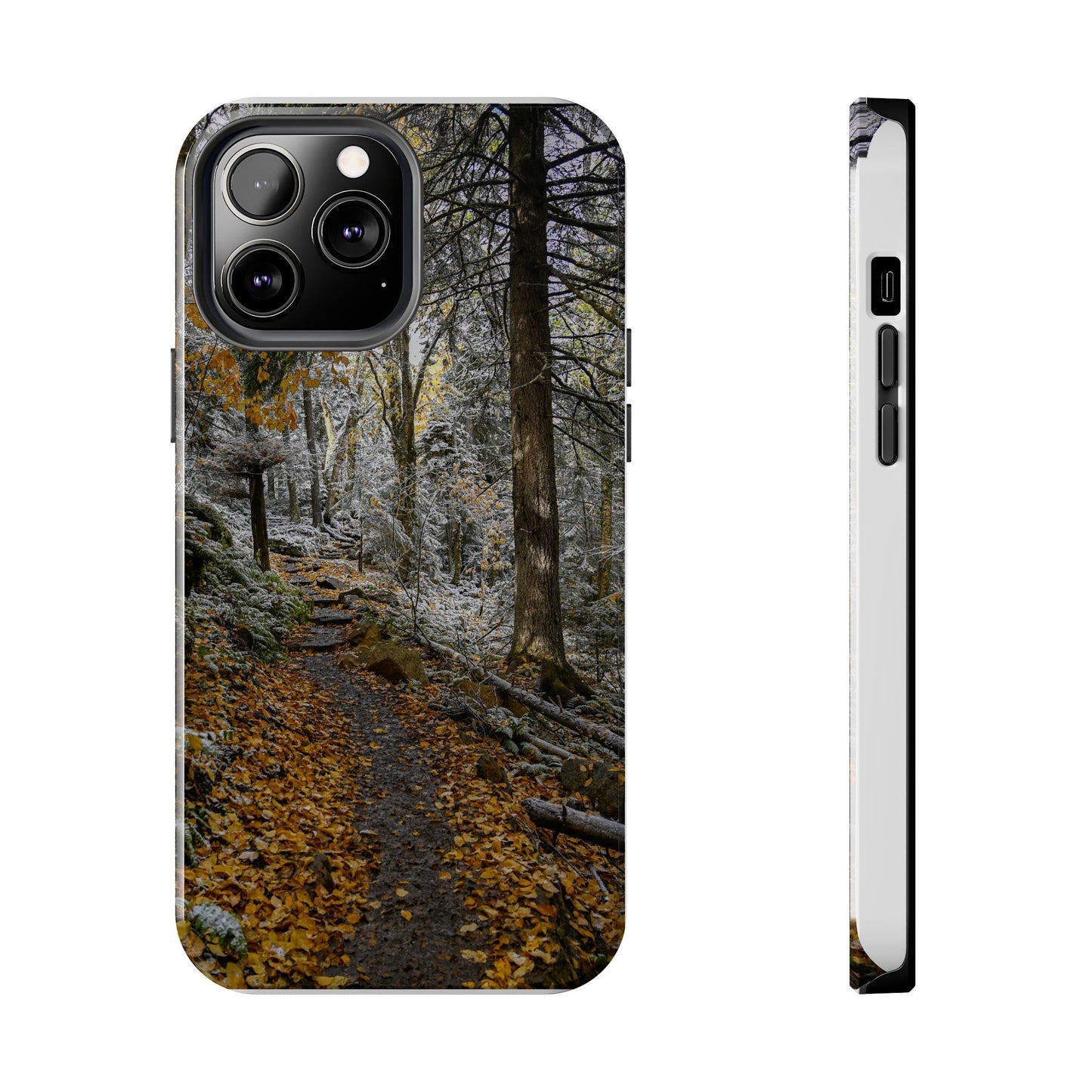 Impact Resistant Phone Case - Seasons Changing