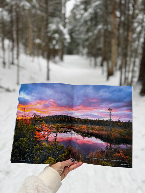 A hand holds an open printed book or magazine in a snowy forest setting. The printed cover shows a colorful landscape with a river or lake reflecting a vivid sunset sky in trees.