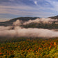 Autumn Morning at Cobble Lookout Panorama