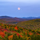 Harvest Moonrise from Buck Mountain