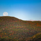 Adirondack Super Moonset print