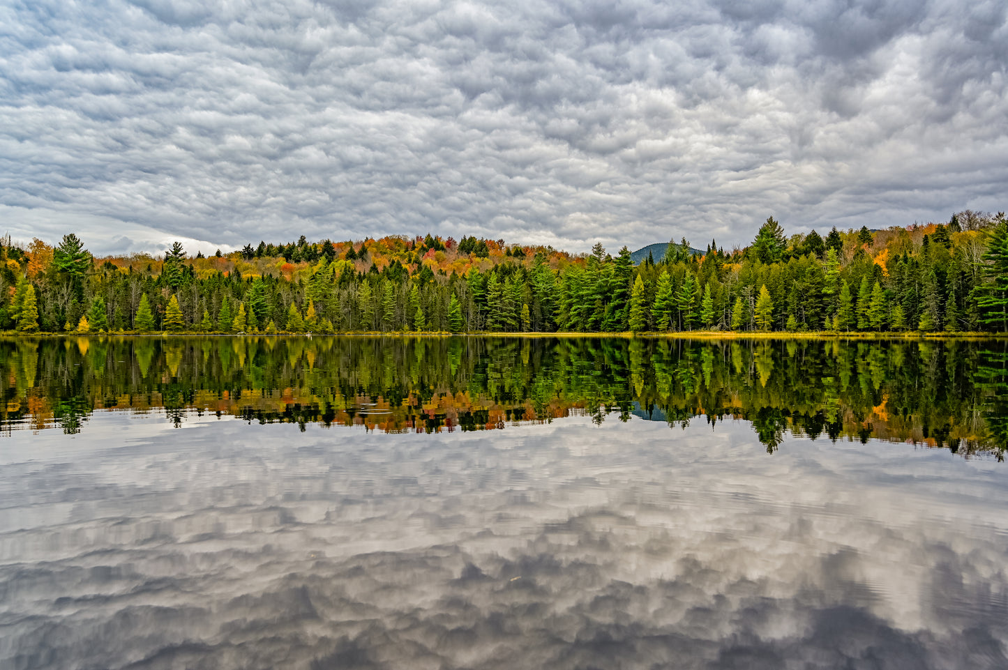 Autumn's Palette on the Pond Adirondack Print
