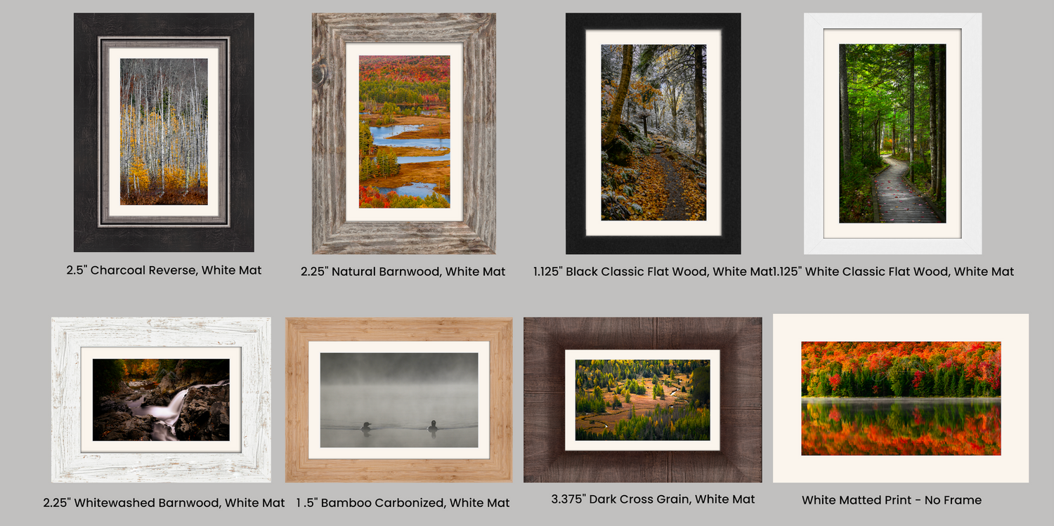 Framed and matted print samples 