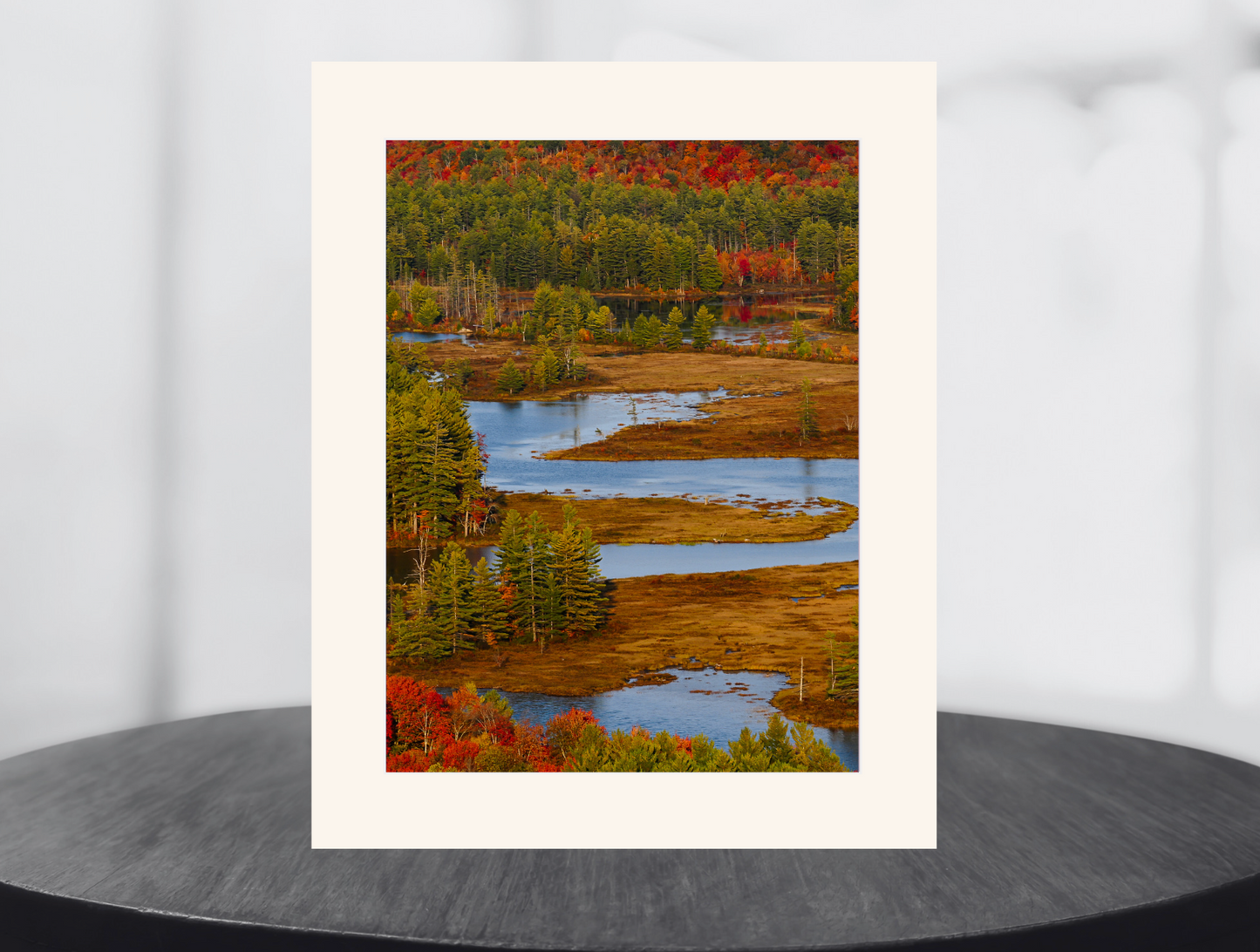 Autumn Over the Bog River 