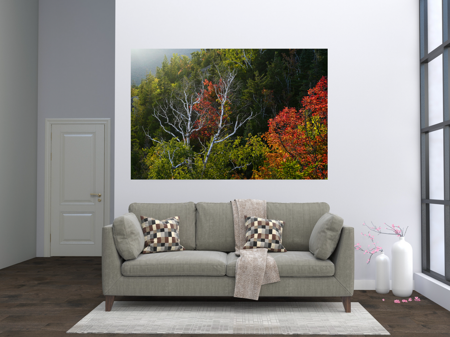 Birch Trees and Autumn Leaves Print