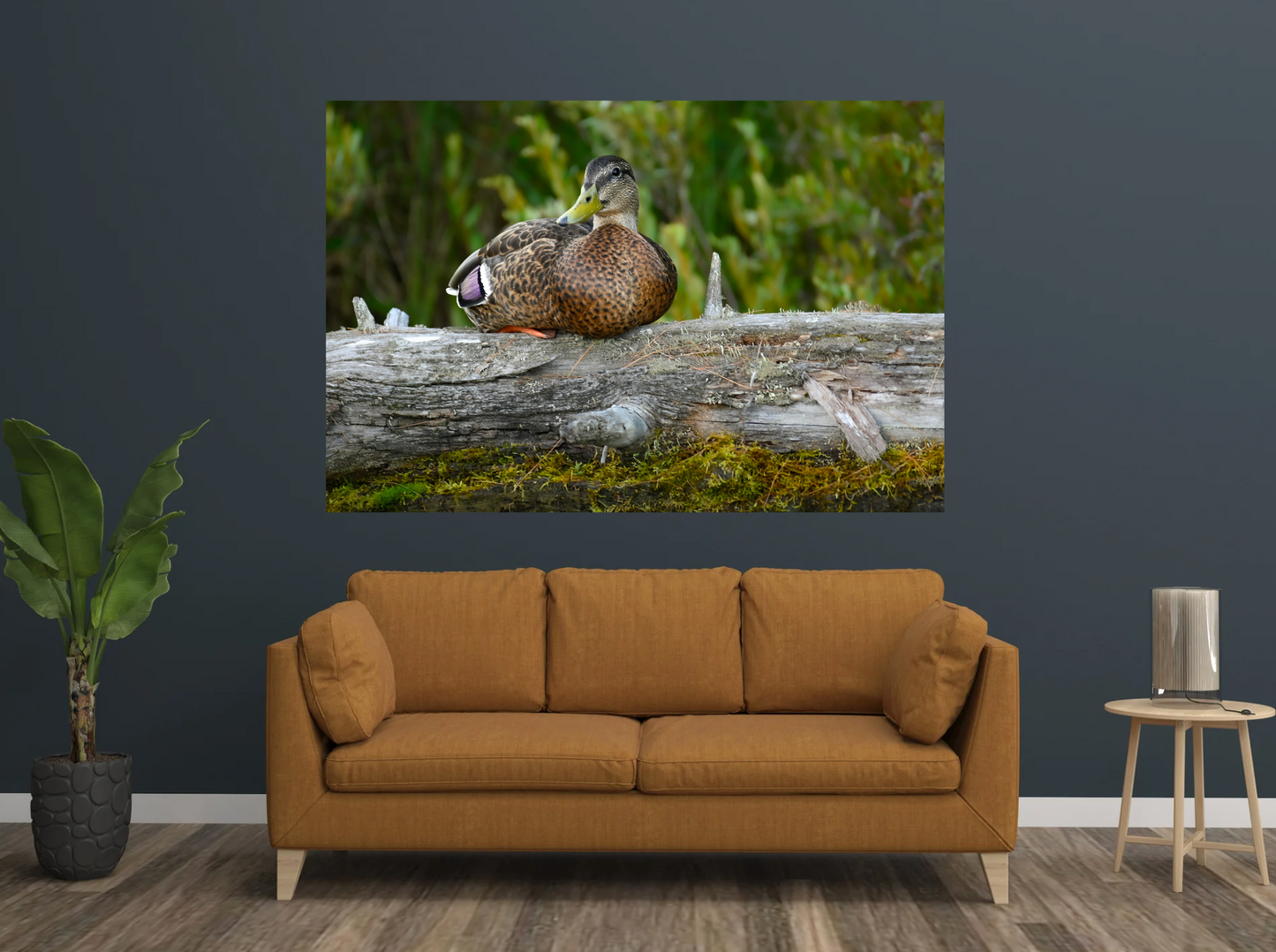 print of a Duck on a Log