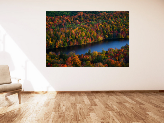 print of Fall Colors in the Adirondacks