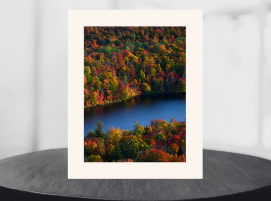 print of Fall Colors in the Adirondacks