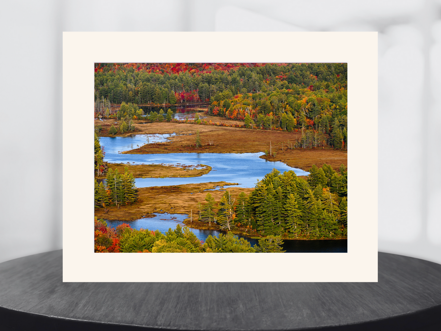 print of a river meandering through an Adirondack backcountry meadow