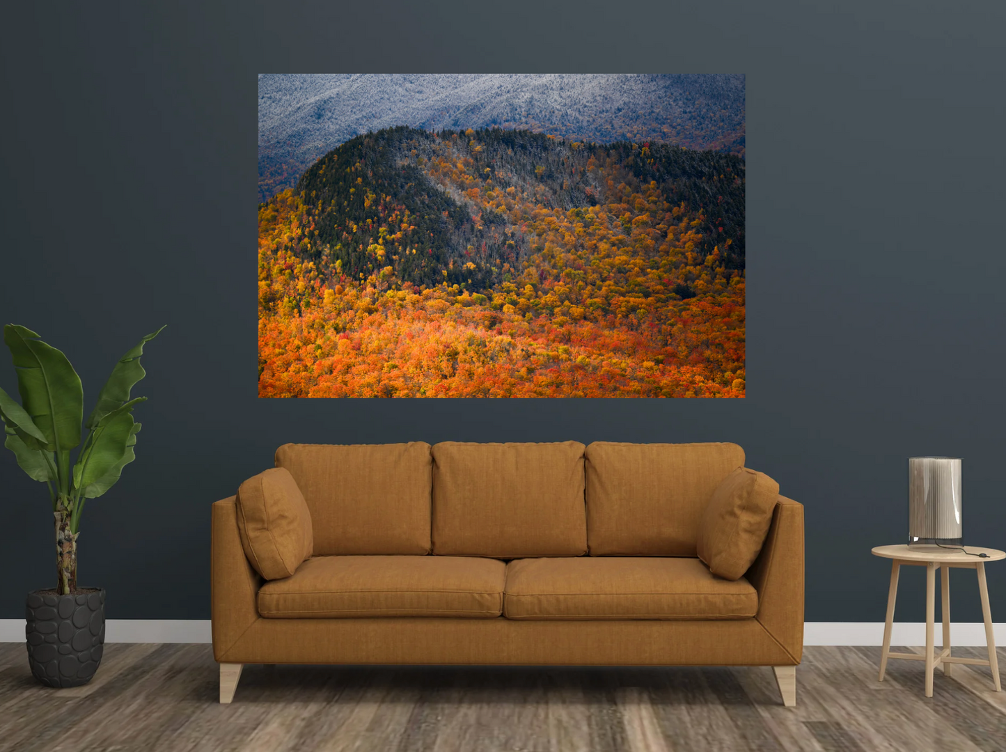 print of Freshly Fallen Snow and Fall Foliage