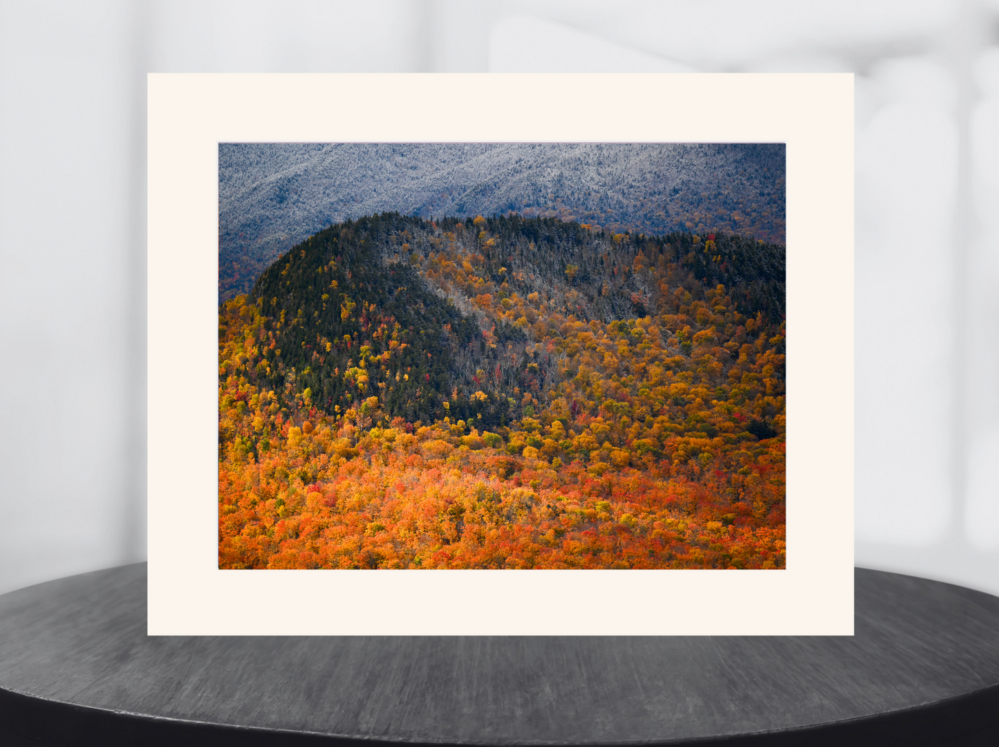 print of Freshly Fallen Snow and Fall Foliage 