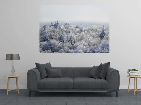 print of Frozen Trees Adirondack Mountains