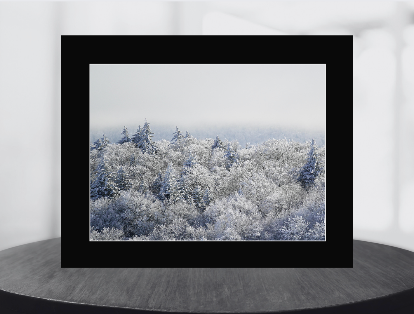 print of Frozen Trees Adirondack Mountains