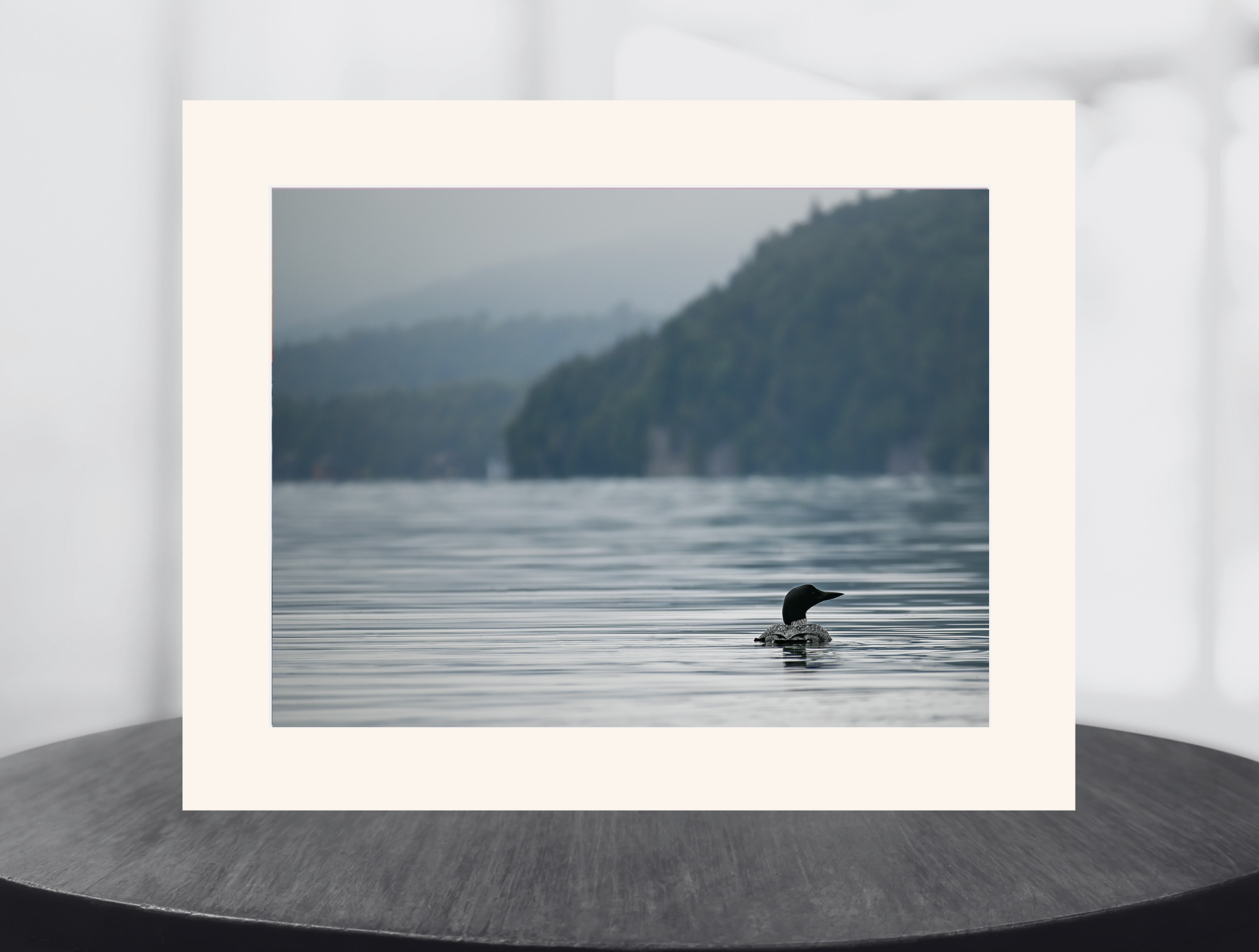 print of a Common Loon on Lake Placid