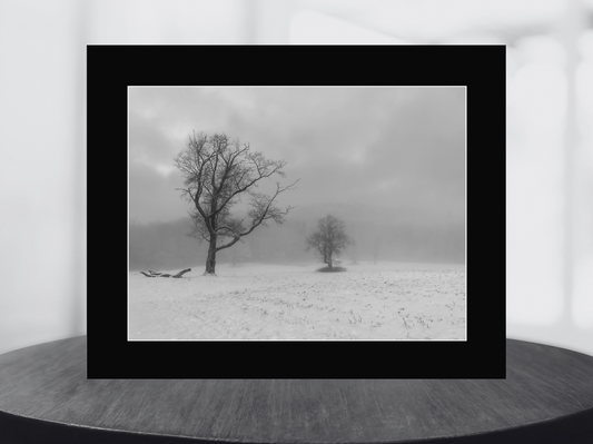 print of December Field of Fog, Adirondack Mountains 