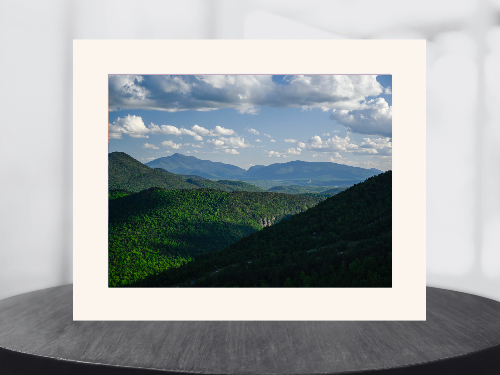 print of Lake Placid from Bear Den Mountain 