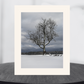 print of a lone tree