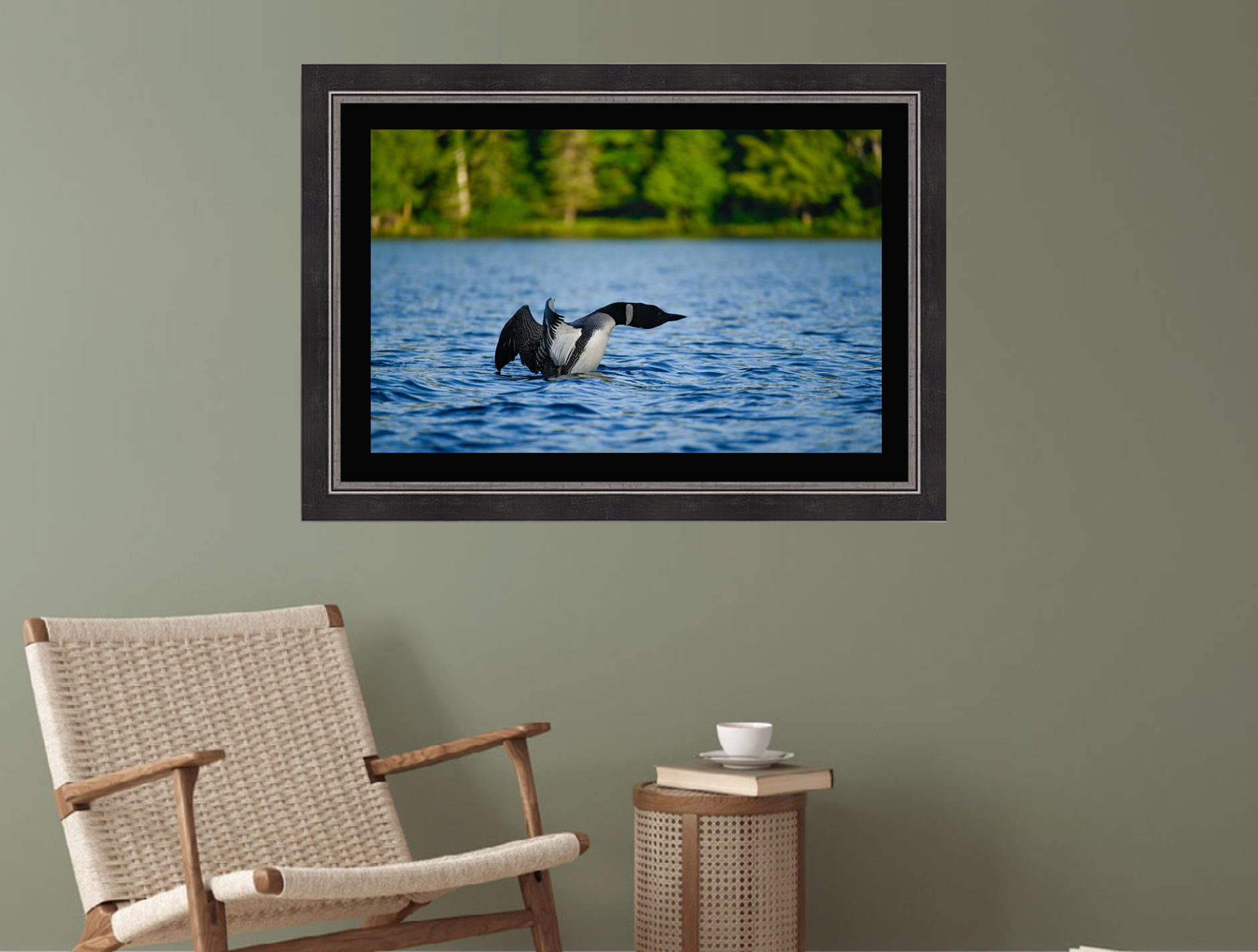 print of a common loon wingspread