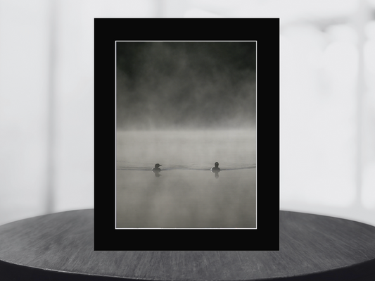print of loons in the mist