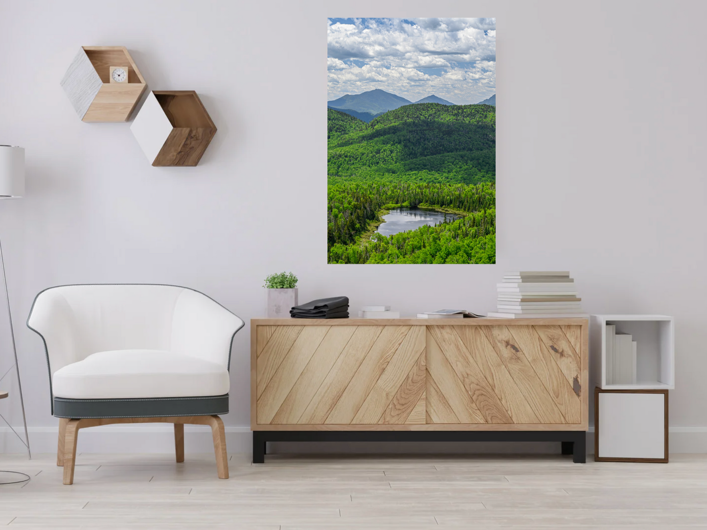 print of a lost pond Adirondack Mountains 