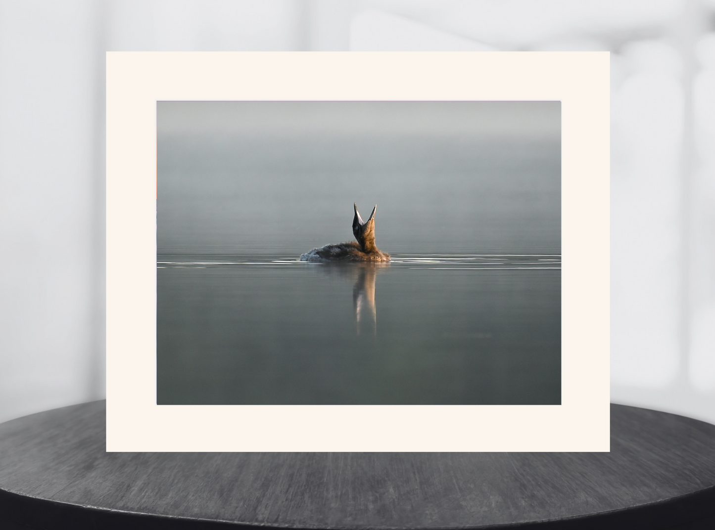 print of a baby loon