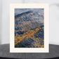 print of snow and foliage Adirondack Mountains