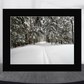 print of Ski Tracks in Powder Snow