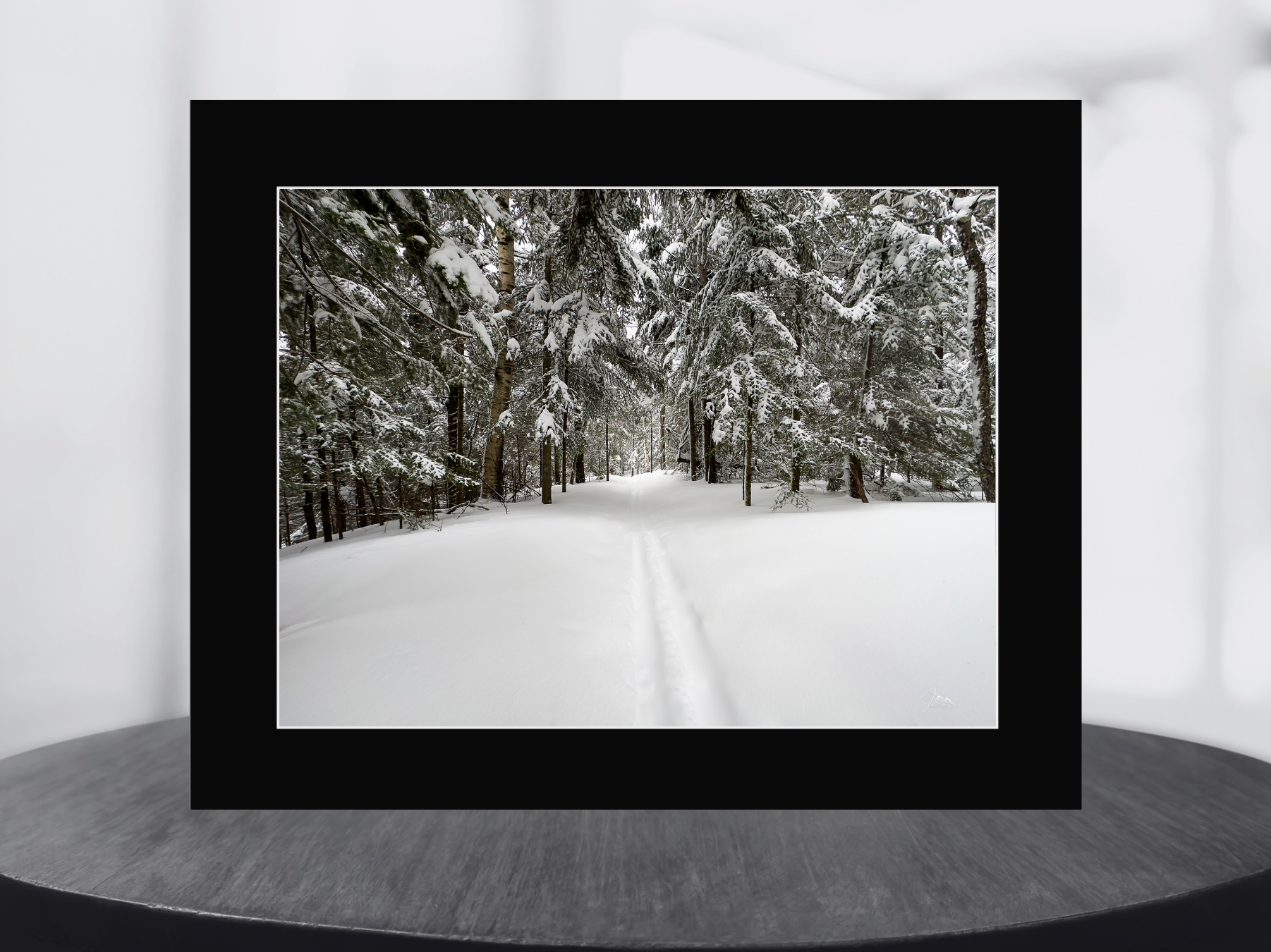 print of Ski Tracks in Powder Snow