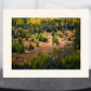 print of a river meandering through a tamarack filled meadow