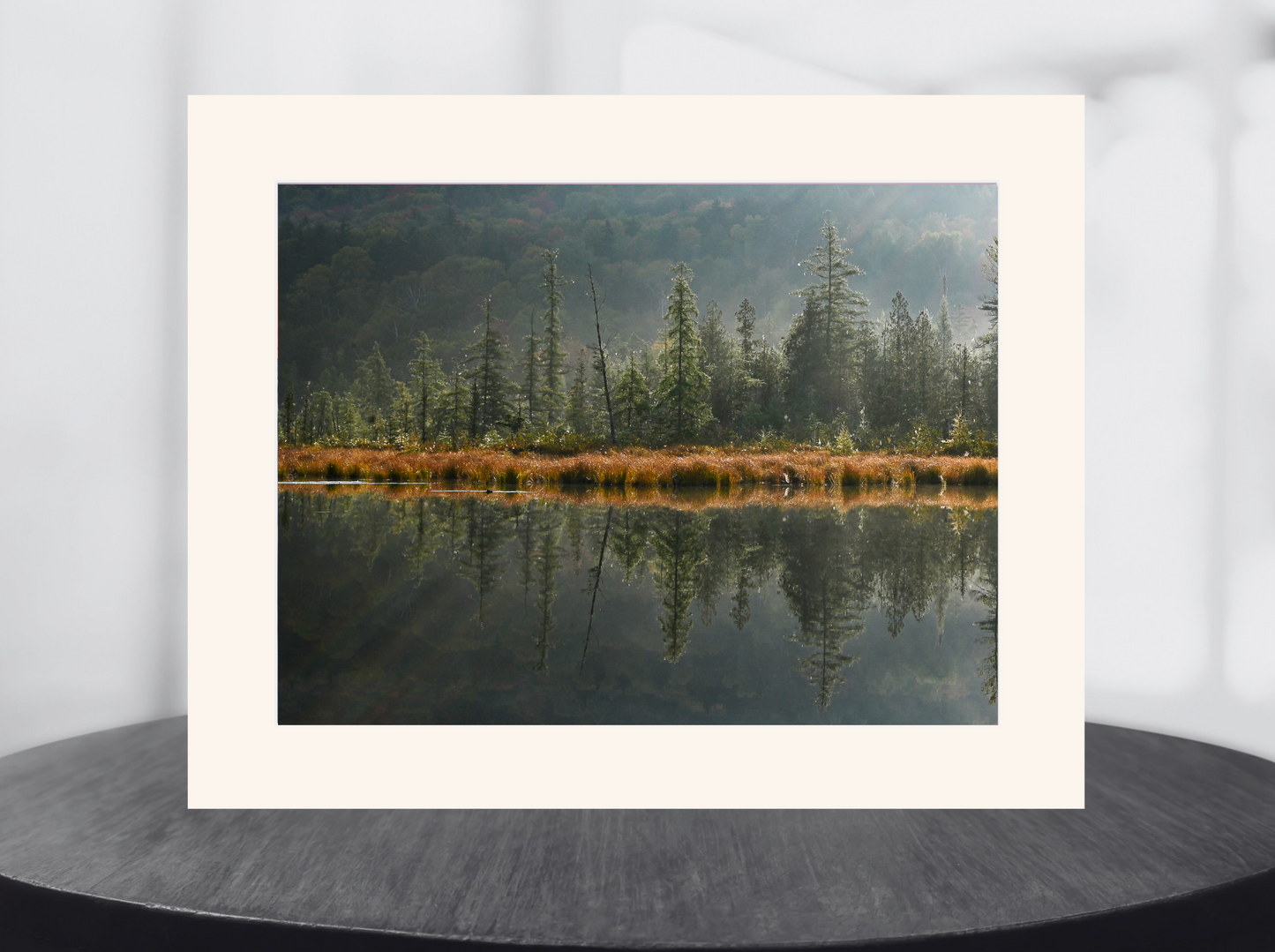 print of tamarack trees reflecting on a pond
