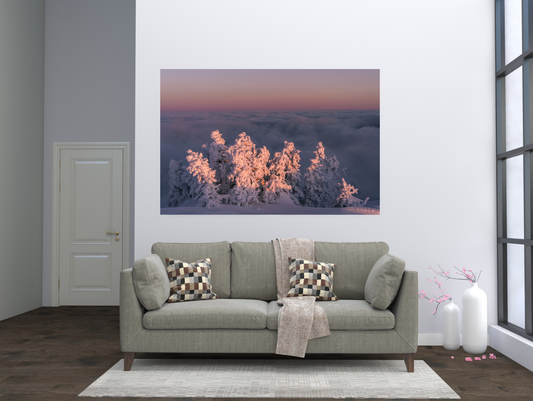 print of snow covered trees at sunset