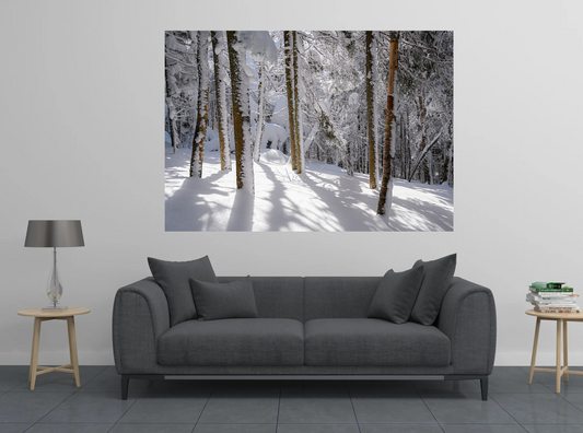 print of Winter Woods